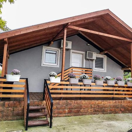 S. A. L. Prenociste Apartment Zrenjanin Bagian luar foto